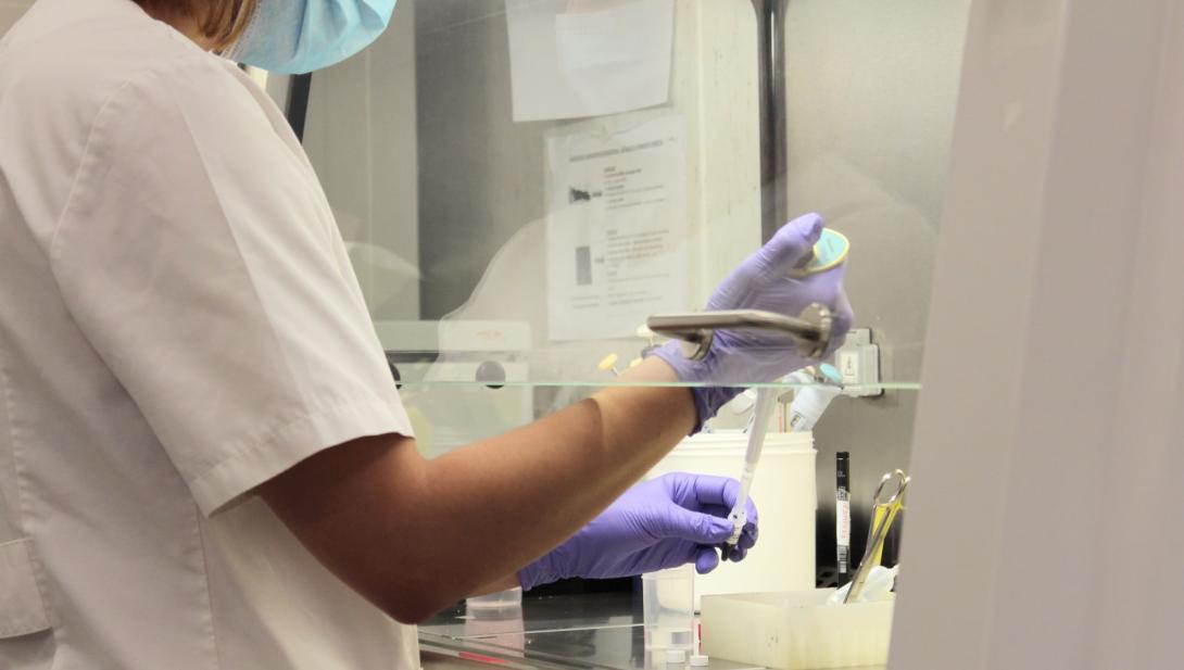 Procesado de muestras en el laboratorio del Hospital Sant Joan de Déu Barcelona Procesado de muestras en el laboratorio