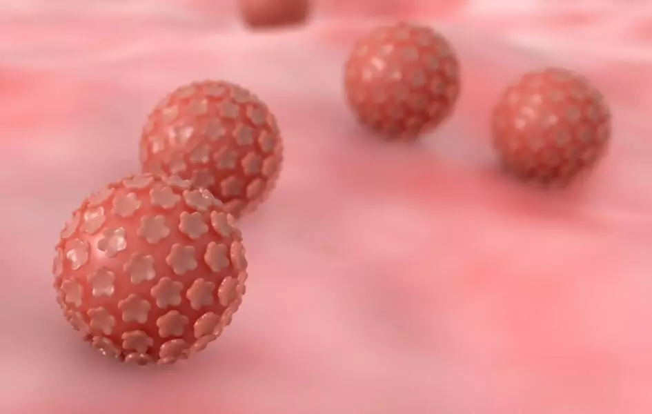 Вирус папилломы человека - иллюстрация