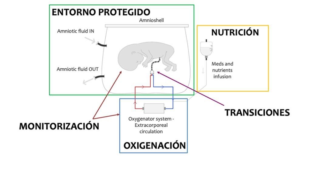 Esquema de la placenta artificial. Imagen: CaixaResearch - Fundación "la Caixa"