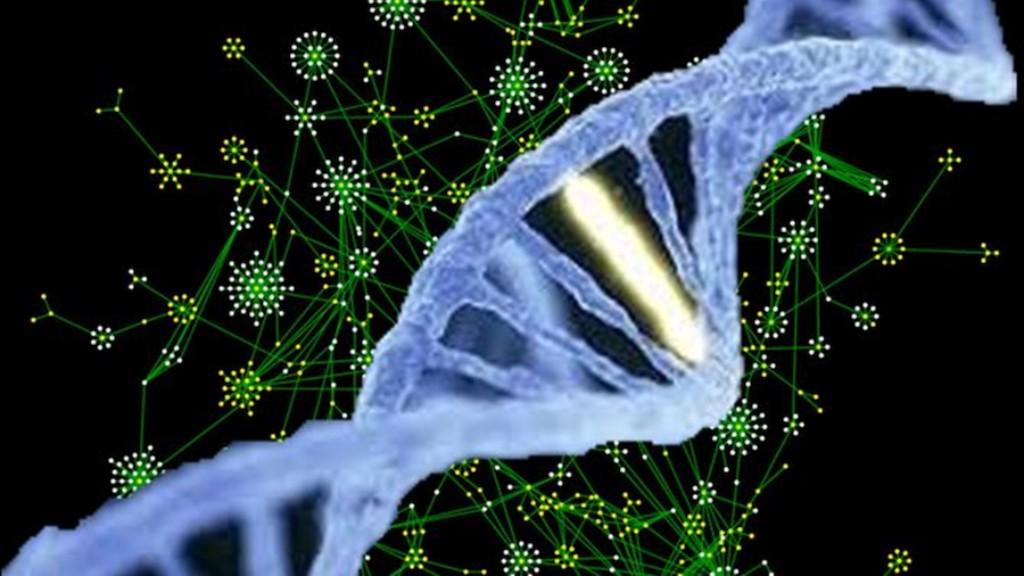 Hèlix de DNA sobre un núvol d'interactomes. Imatge: CIBERER