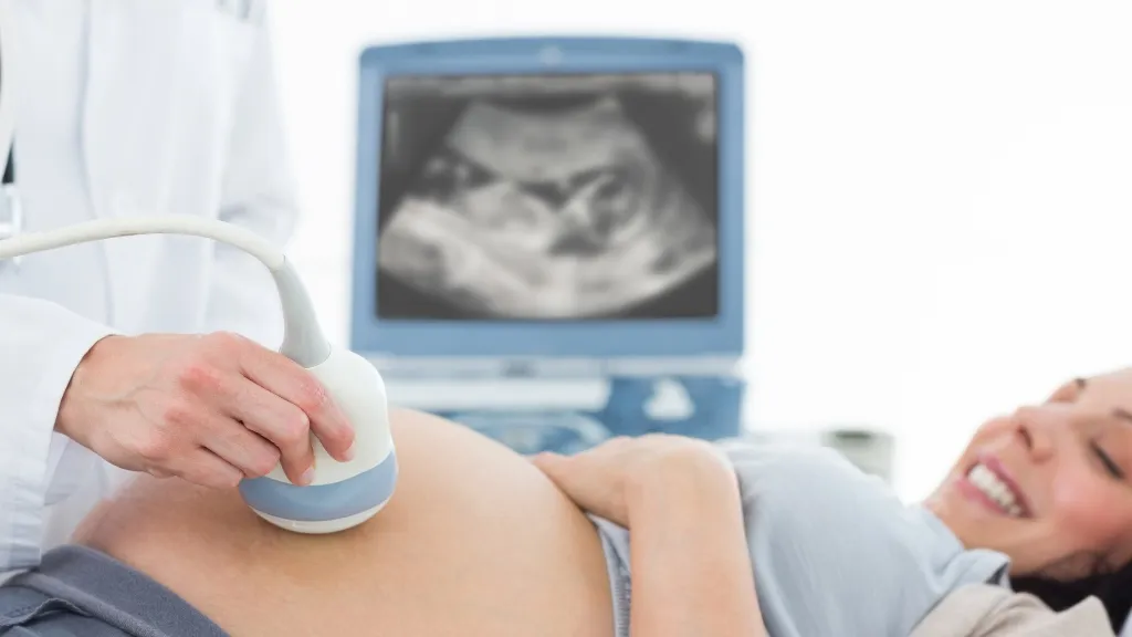 Pregnancy ultrasound. Image resource Pregnancy ultrasound. Image resource