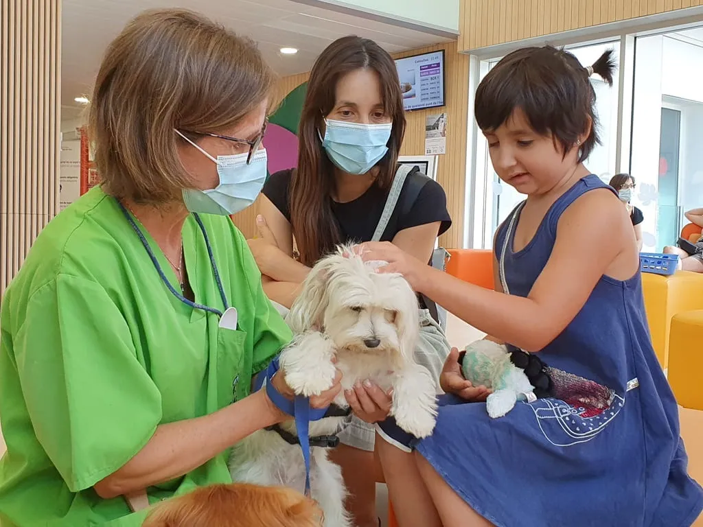 Pequeña valiente acariciando un perro de terapia Pequeña valiente acariciando un perro de terapia