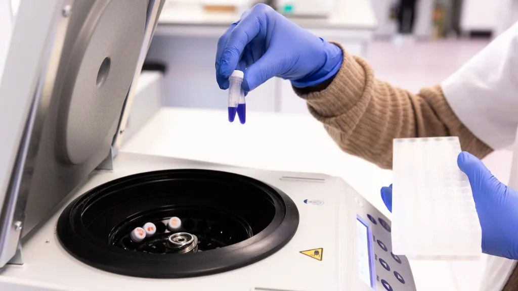 Investigación PCCB