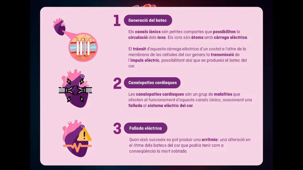 Fallada al cor