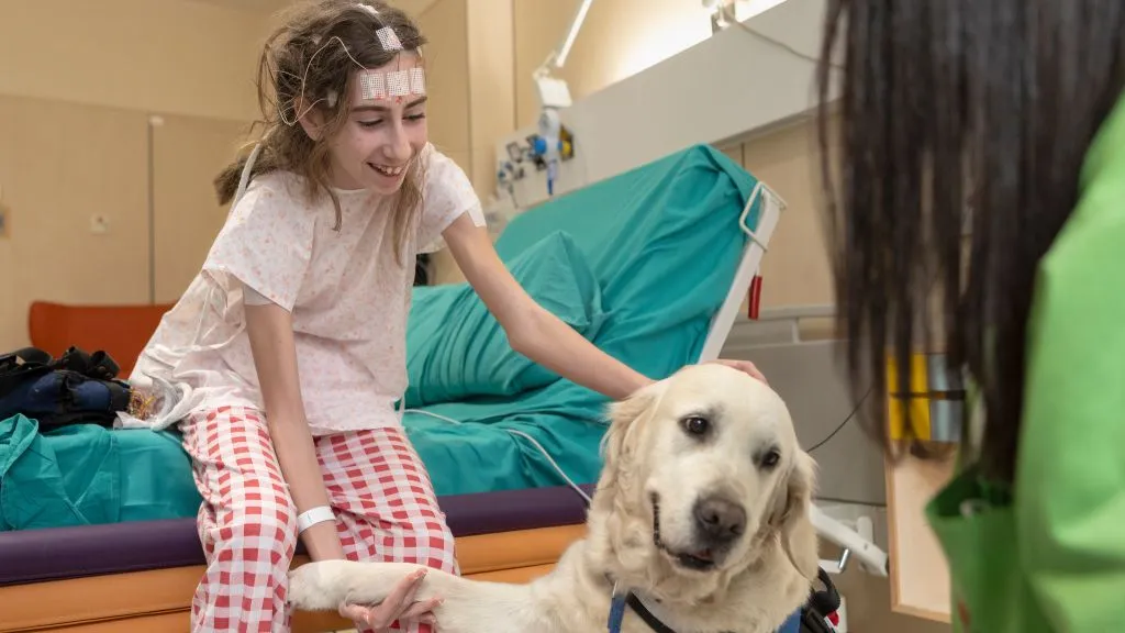 Intervenciones asistidas con perros Intervenciones asistidas con perros