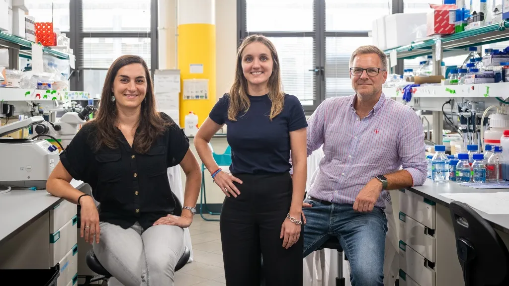 Equipo investigador del tumor rabdoide renal Equipo investigador del tumor rabdoide renal