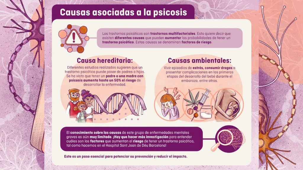 Causas de la psicosis Causas de la psicosis