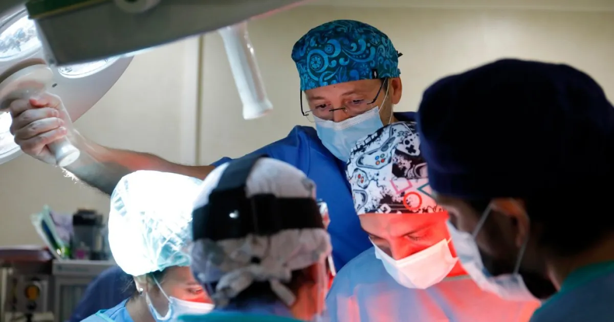 Artificial placenta, 12 days of survival in good fetal condition