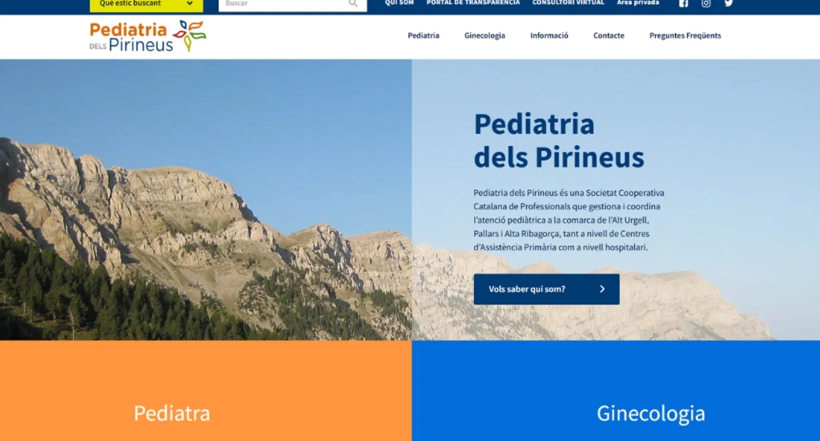 Web de Pediatria dels Pirineus