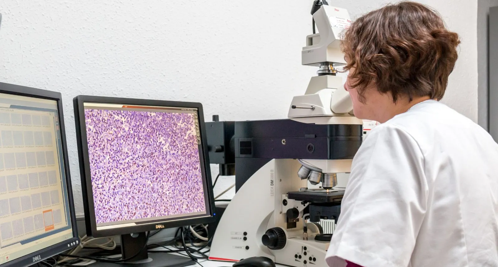 Anàlisi de mostres al laboratori - Hospital Sant Joan de Déu Barcelona