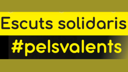 Iniciativa "Escuts solidaris"