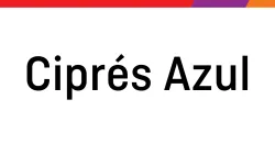 Ciprés Azul