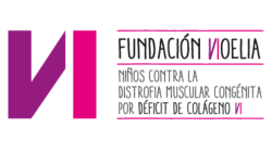 Fundación Noelia