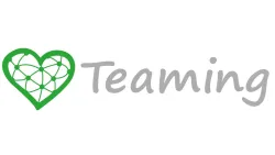 Fundación Teaming Fundación Teaming
