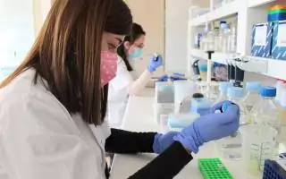 Investigación