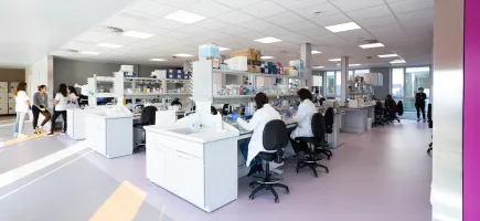 General image of the children's cancer research laboratory General image of the laboratory