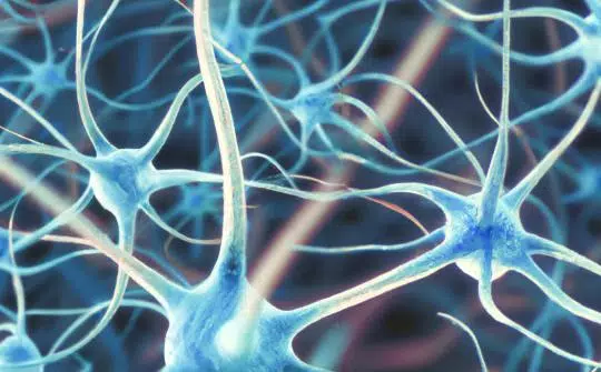 Imatge en 3D de neurones inflamades creada amb IA