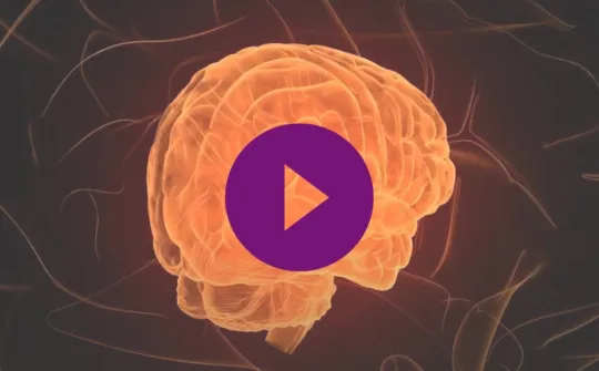 las funciones del cerebro