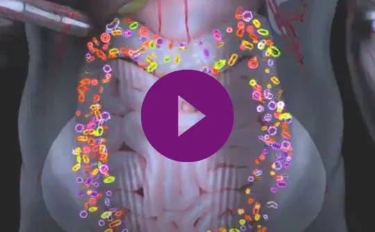 microbioma humano