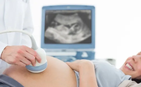 Pregnancy ultrasound. Image resource