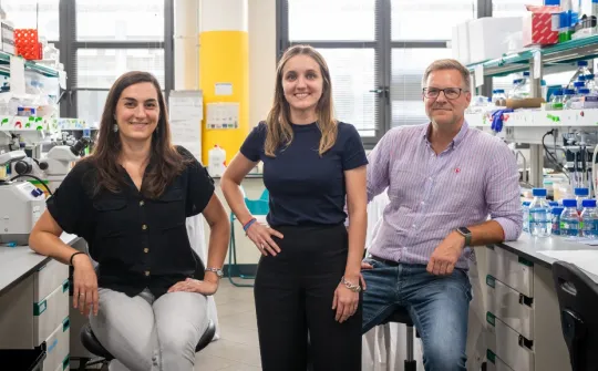 Equipo investigador del tumor rabdoide renal
