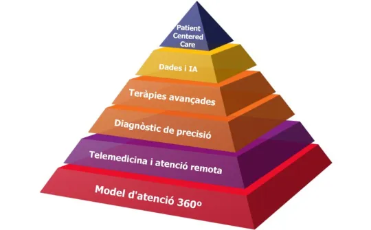 Piràmide d'organització de l'estratègia Únicas SJD