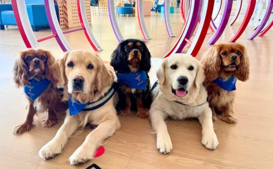 Donació de la Fundació Barça per a la teràpia assistida amb gossos