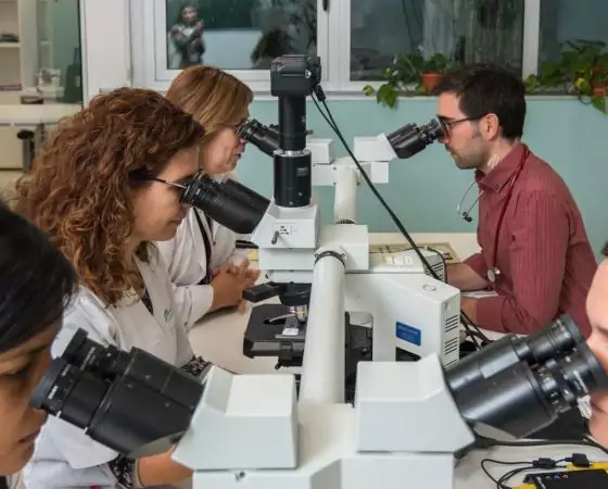 The Anatomical Pathology Department at SJD Barcelona Children's Hospital