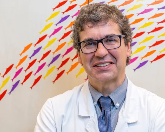 Francisco José Cambra, Head of Critical Care Area at SJD Barcelona Children's Hospital. Francisco José Cambra, Head of Critical Care Area at SJD Barcelona Children's Hospital.