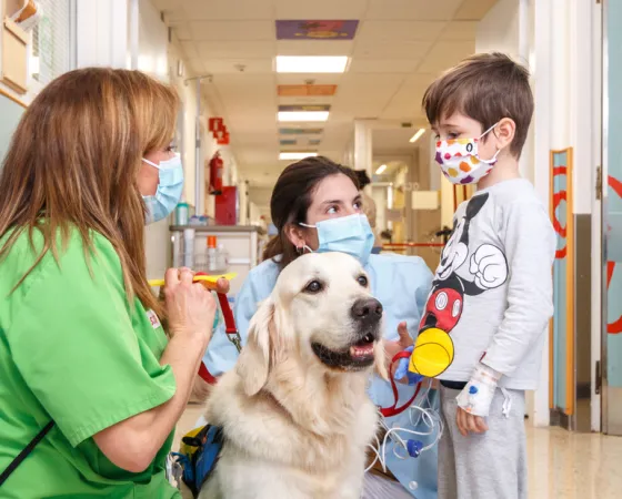 Intervención asistida con perros en el Hospital