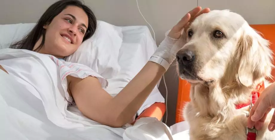 Pacient acariciant gos de teràpia a l'Hospital Sant Joan de Déu