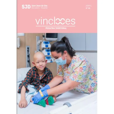 Revista Vincles, número 28