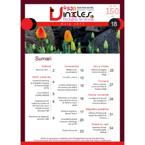 Revista Vincles, número 18