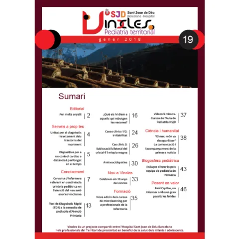 Revista Vincles, número 19