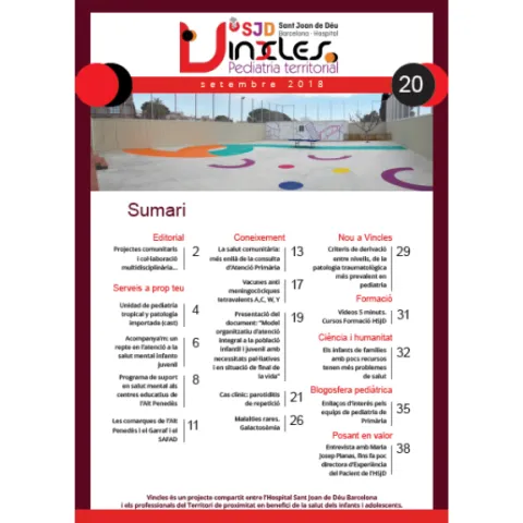 Revista Vincles, número 20