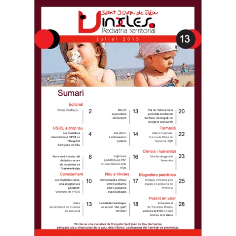 Revista Vincles, número 13