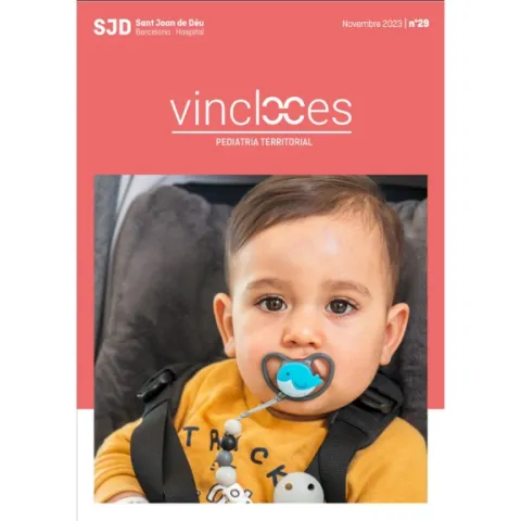Revista Vincles, número 29