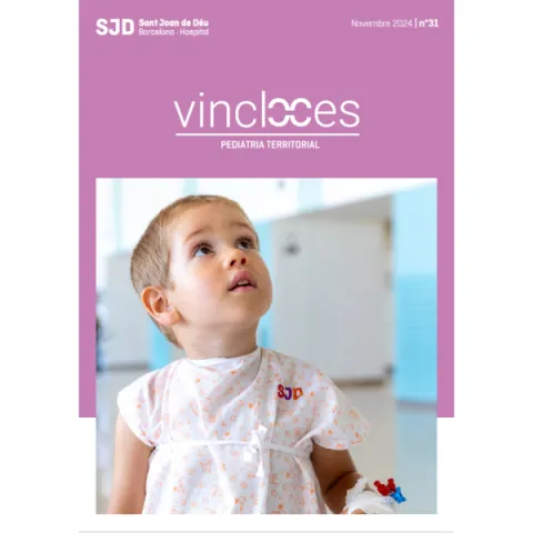 Revista Vincles 31