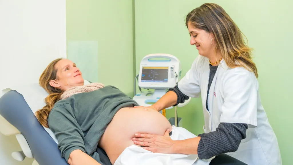 Midwife examines a pregnant patient Midwife examines a pregnant patient