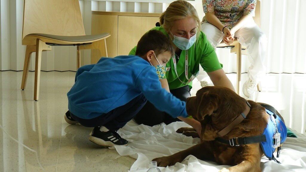 Activitat amb gossos d'un pacient de Child Life