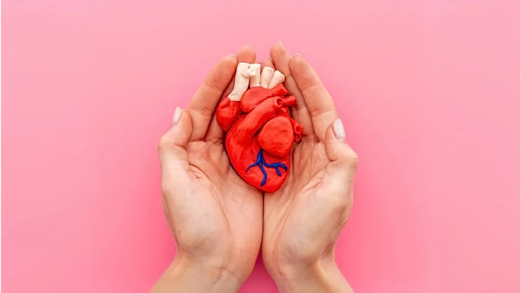 Investigant el ritme irregular del cor Investigant el ritme irregular del cor