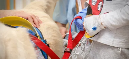 Imagen de detalle de un paciente con un perro Imagen de detalle de un paciente con un perro en el Hospital Sant Joan de Déu