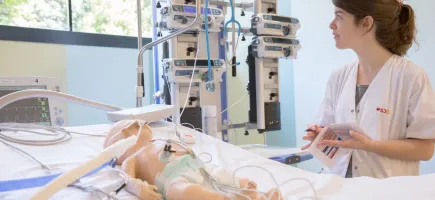 Simulation Simulation
