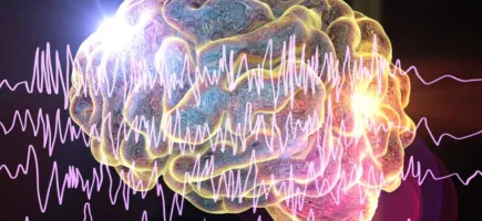 Master's Degree in Paediatric and Adult Epileptology Master's Degree in Paediatric and Adult Epileptology