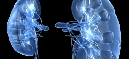 Master's Degree in Paediatric Nephrology Master's Degree in Paediatric Nephrology