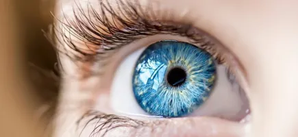 Master's Degree in Paediatric Ophthalmology Master's Degree in Paediatric Ophthalmology