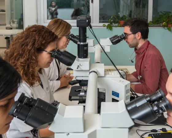 The Anatomical Pathology Department at SJD Barcelona Children's Hospital