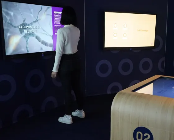 Dues persones consulten les pantalles interactives de l'Àgora de la Ciencia. Imatge de l'espai d'exposició sobre ciència i recerca