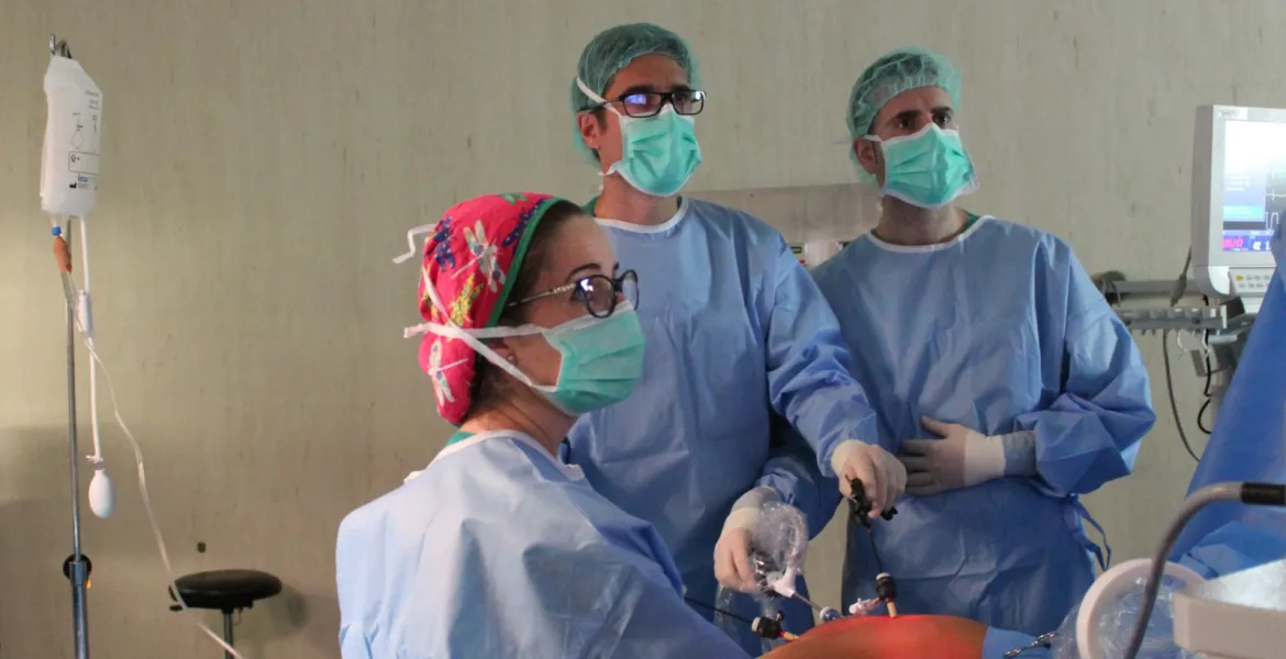 Cirugía laparoscópica de urología infantil en Sant Joan de Déu Cirugía laparoscópica de urología infantil en Sant Joan de Déu