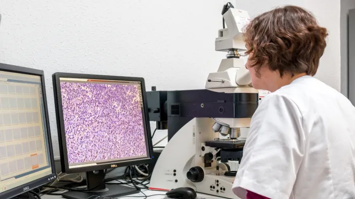 Investigadora analiza muestras Investigadora analiza muestras